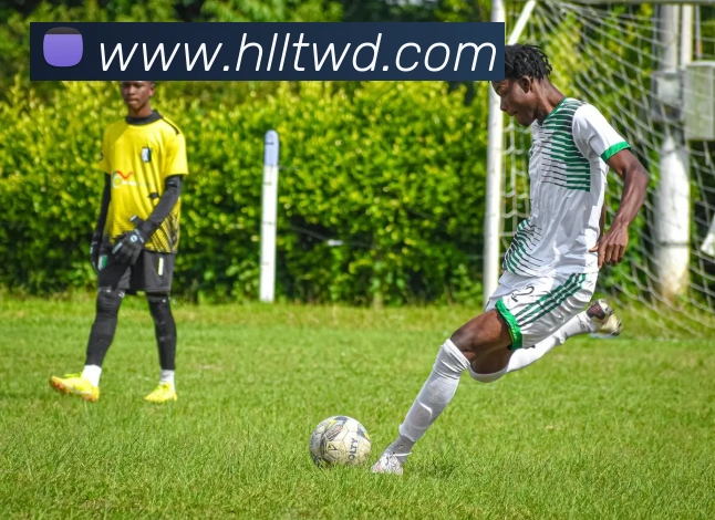 App Interface Preview